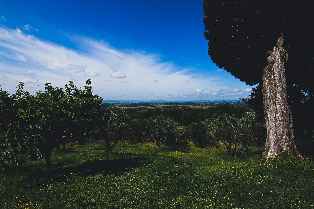 Agriturismo Poggio Bonelli Castelnuovo Berardenga Eksteriør billede